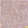 AC28126