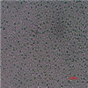 AG10016