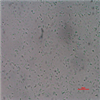 AG10020