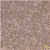 HC18301