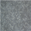 HC19006