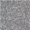 HC19024