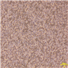 HC19024