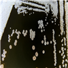 KCTC19935