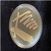KCTC23294